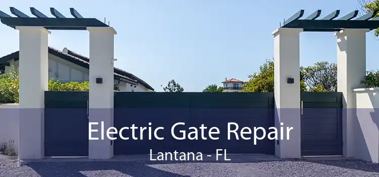 Electric Gate Repair Lantana - FL
