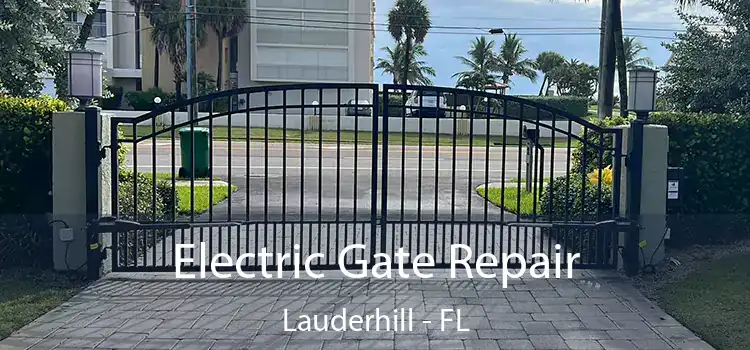 Electric Gate Repair Lauderhill - FL