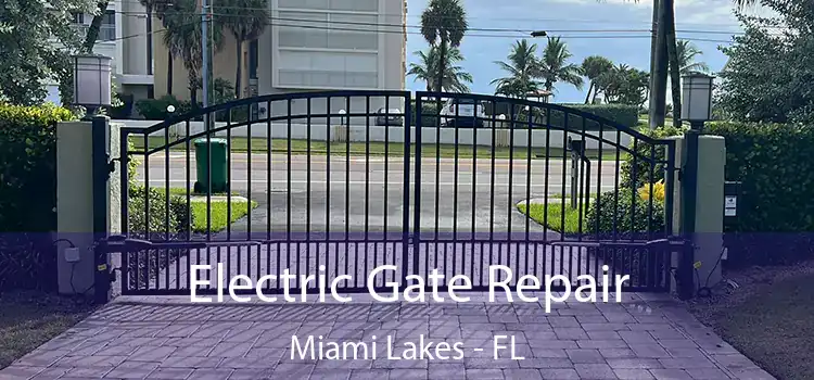 Electric Gate Repair Miami Lakes - FL