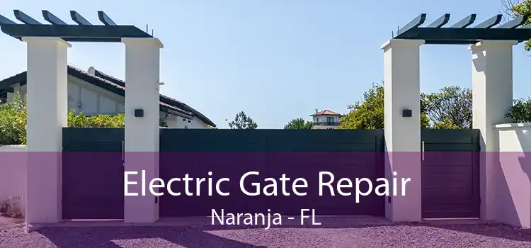 Electric Gate Repair Naranja - FL