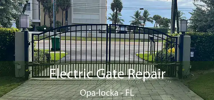 Electric Gate Repair Opa-locka - FL