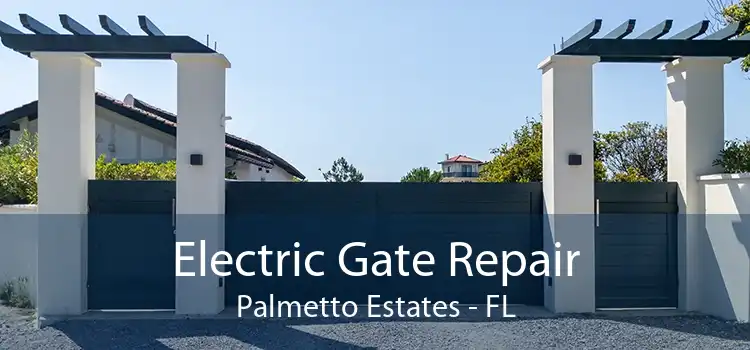 Electric Gate Repair Palmetto Estates - FL