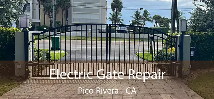 Electric Gate Repair Pico Rivera - CA