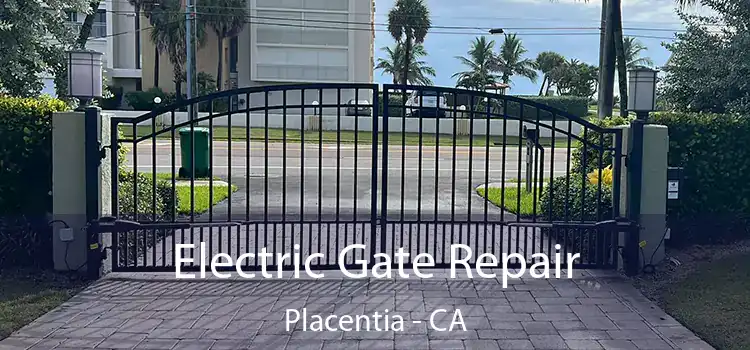 Electric Gate Repair Placentia - CA