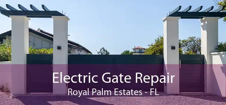 Electric Gate Repair Royal Palm Estates - FL