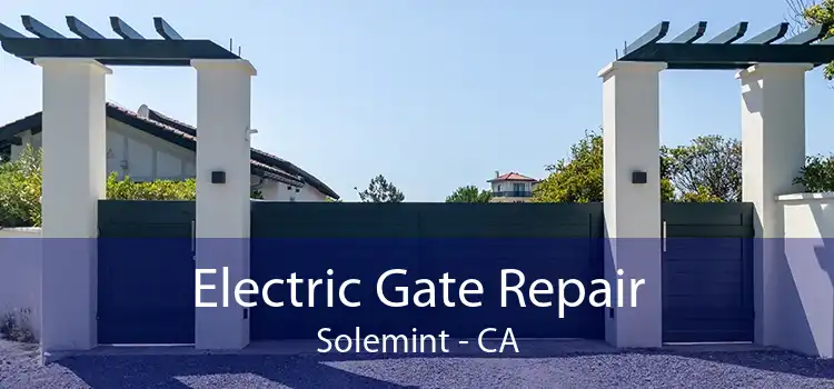 Electric Gate Repair Solemint - CA
