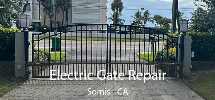 Electric Gate Repair Somis - CA