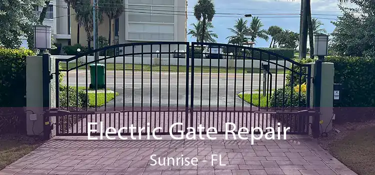 Electric Gate Repair Sunrise - FL