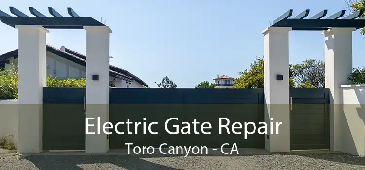 Electric Gate Repair Toro Canyon - CA