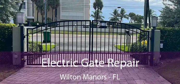 Electric Gate Repair Wilton Manors - FL