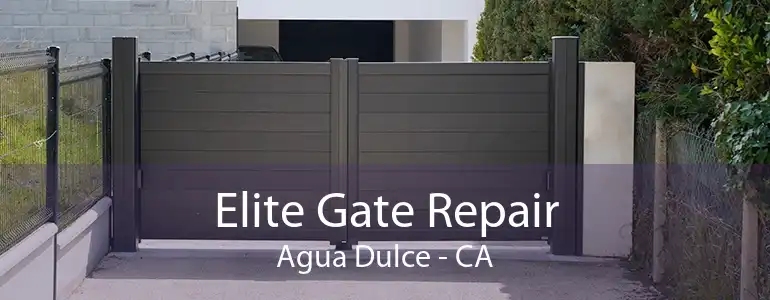 Elite Gate Repair Agua Dulce - CA