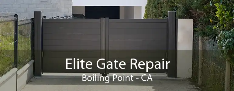 Elite Gate Repair Boiling Point - CA
