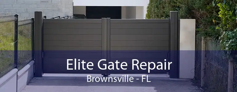 Elite Gate Repair Brownsville - FL