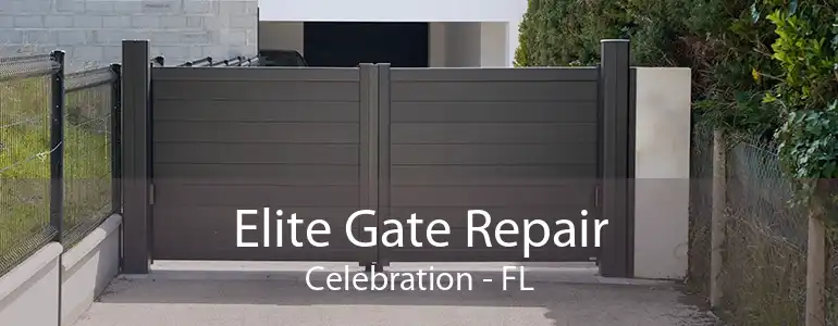 Elite Gate Repair Celebration - FL