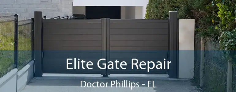  Elite Gate Repair Doctor Phillips - FL