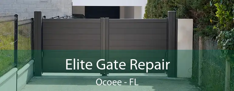  Elite Gate Repair Ocoee - FL