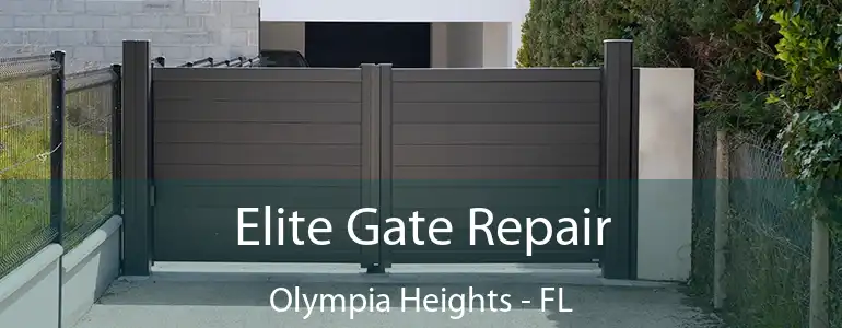  Elite Gate Repair Olympia Heights - FL