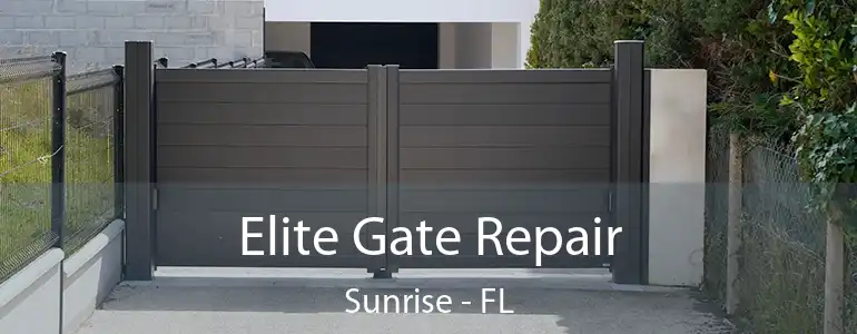  Elite Gate Repair Sunrise - FL