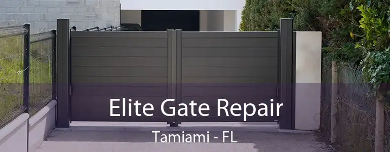  Elite Gate Repair Tamiami - FL