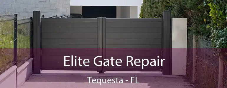  Elite Gate Repair Tequesta - FL