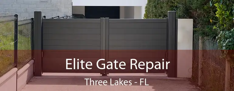  Elite Gate Repair Three Lakes - FL