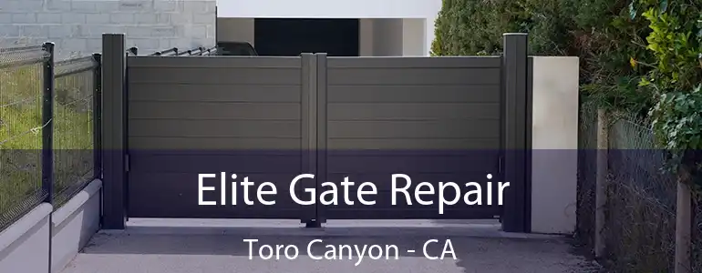 Elite Gate Repair Toro Canyon - CA