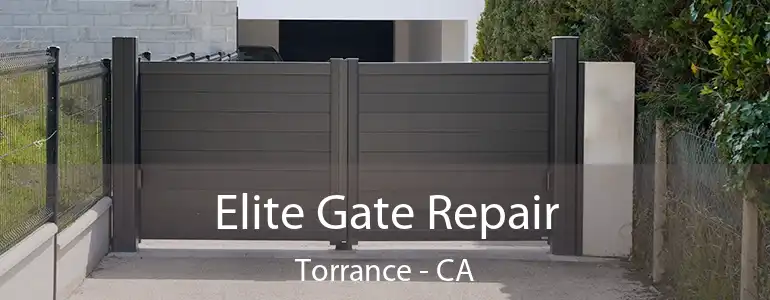  Elite Gate Repair Torrance - CA