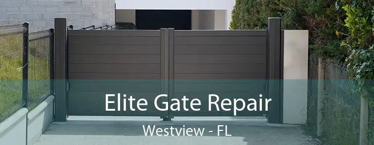  Elite Gate Repair Westview - FL
