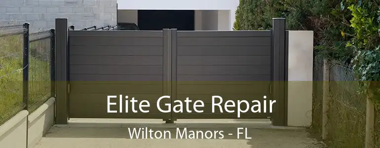  Elite Gate Repair Wilton Manors - FL
