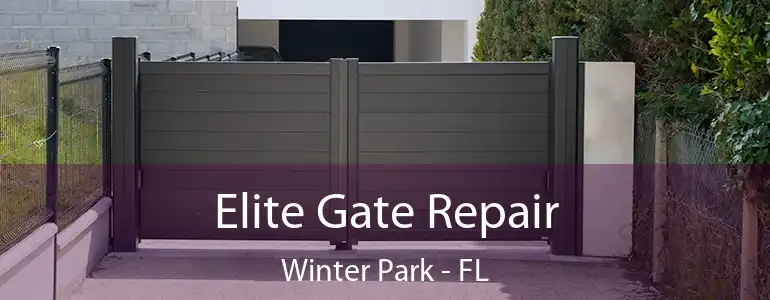 Elite Gate Repair Winter Park - FL