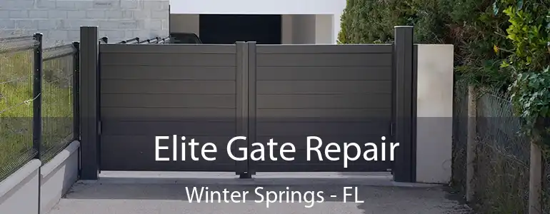  Elite Gate Repair Winter Springs - FL