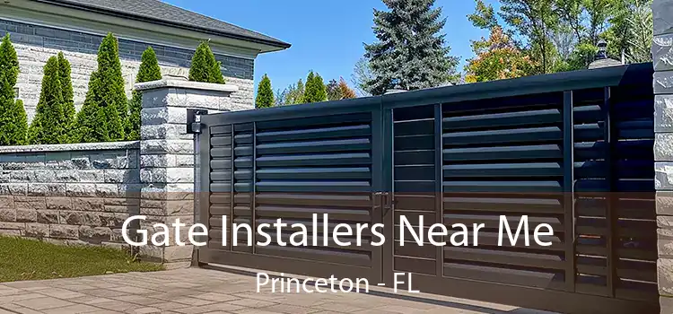 Gate Installers Near Me Princeton - FL