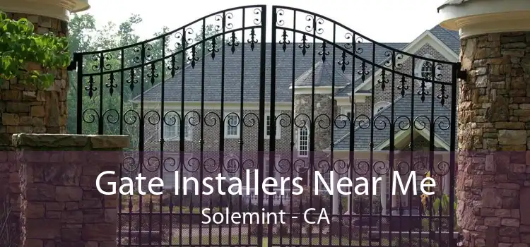 Gate Installers Near Me Solemint - CA