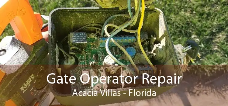 Gate Operator Repair Acacia Villas - Florida