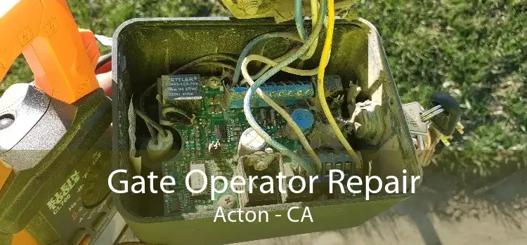 Gate Operator Repair Acton - CA