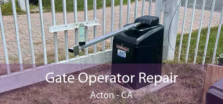 Gate Operator Repair Acton - CA