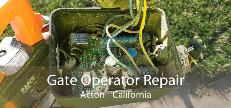 Gate Operator Repair Acton - California