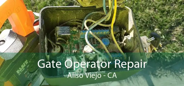 Gate Operator Repair Aliso Viejo - CA