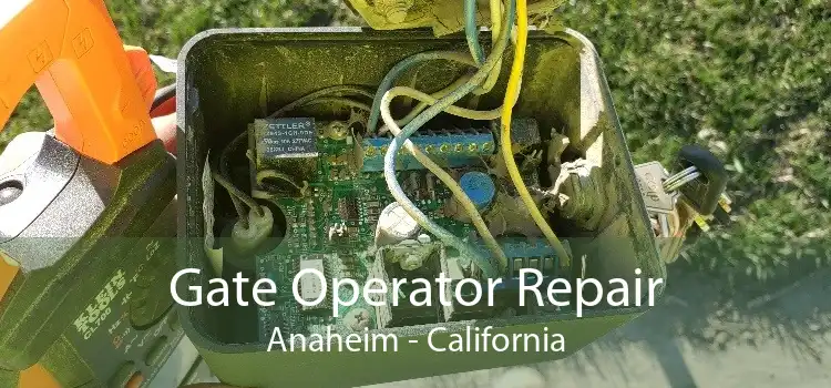 Gate Operator Repair Anaheim - California