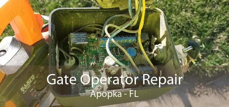 Gate Operator Repair Apopka - FL
