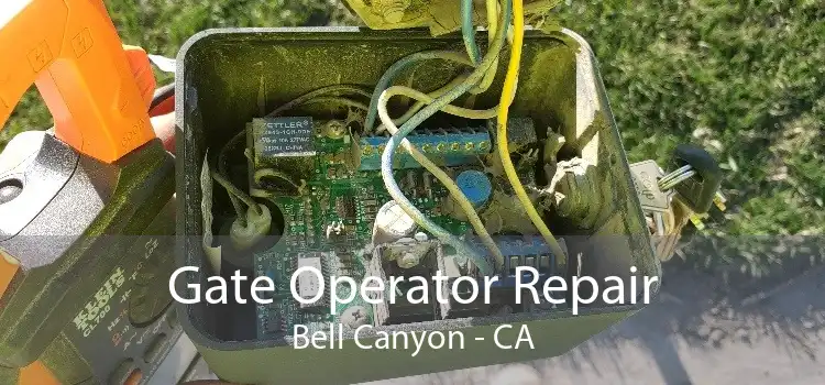 Gate Operator Repair Bell Canyon - CA