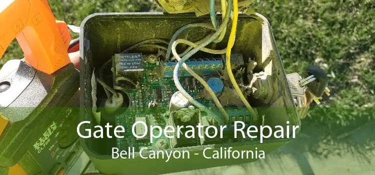 Gate Operator Repair Bell Canyon - California