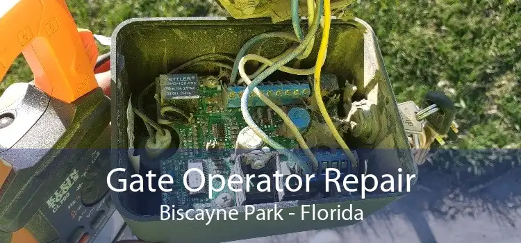 Gate Operator Repair Biscayne Park - Florida