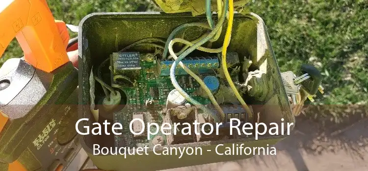 Gate Operator Repair Bouquet Canyon - California