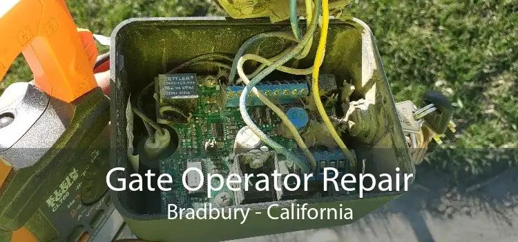 Gate Operator Repair Bradbury - California