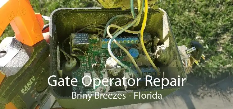 Gate Operator Repair Briny Breezes - Florida
