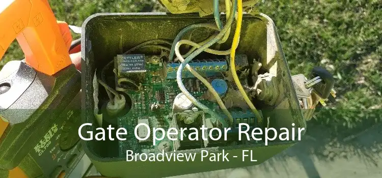 Gate Operator Repair Broadview Park - FL