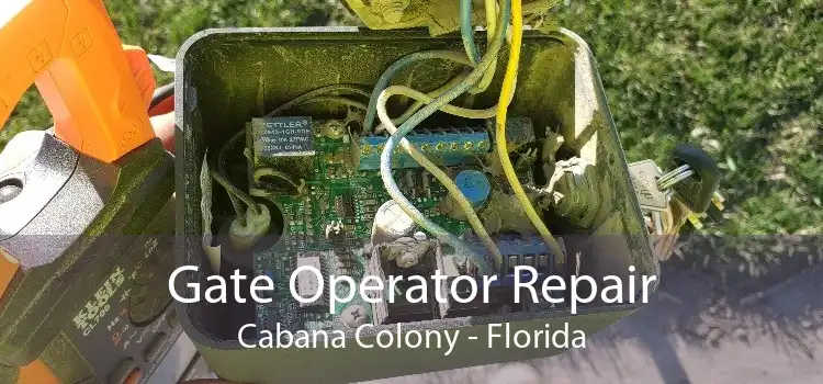 Gate Operator Repair Cabana Colony - Florida