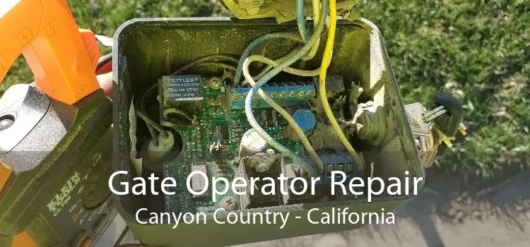 Gate Operator Repair Canyon Country - California