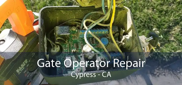 Gate Operator Repair Cypress - CA